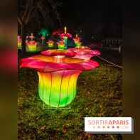 Odyssée Lumineuse, le festival des lumières au Parc Floral