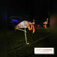 Odyssée Lumineuse, le festival des lumières au Parc Floral - IMG 2548