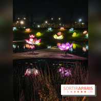 Odyssée Lumineuse, le festival des lumières au Parc Floral