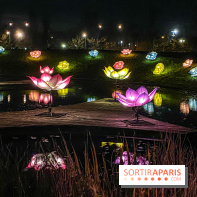 Odyssée Lumineuse, le festival des lumières au Parc Floral - IMG 2551