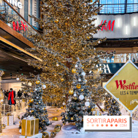 Le Sapin de Noël 2023 de La Défense