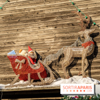 Le Marché de Noël de Janvry
