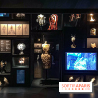 L’exposition retrospective de la créatrice de mode Iris Van Herpen au Musée des Arts Décoratifs