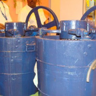 Foire de Paris 2010 - Hall 4 - Richesses du Monde