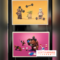 Exposition LEGO à Clichy - IMG 8859