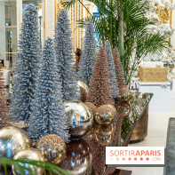 Noël au Peninsula Paris  -  A7C9675