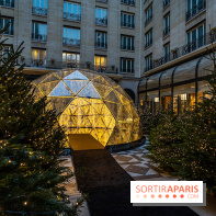 Le Four Seasons George V et ses décorations de fêtes -  A7C9887 2