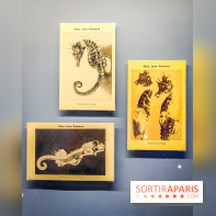 Objectif mer, l'exposition autour du 7e art à découvrir au musée de la Marine - nos photos