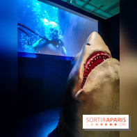 Objectif mer, l'exposition autour du 7e art à découvrir au musée de la Marine - nos photos - IMG20231207112214