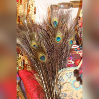 Foire de Paris - Hall 4 - Richesses du Monde