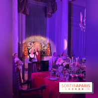 La Belle et la Bête, le spectacle au château de Maisons-Laffitte - nos photos - image00021