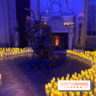 La Belle et la Bête, le spectacle au château de Maisons-Laffitte - nos photos
