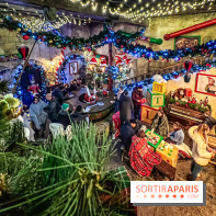 Noël au Parc Astérix 2023, sentier de lumières et patinoire - IMG 4935