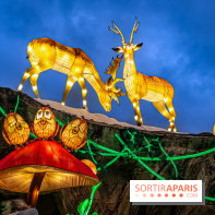 Noël au Parc Astérix 2023, sentier de lumières et patinoire - IMG 4971