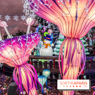 Noël au Parc Astérix 2023, sentier de lumières et patinoire - IMG 4994