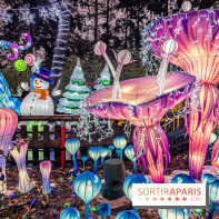 Noël au Parc Astérix 2023, sentier de lumières et patinoire