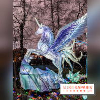 Noël au Parc Astérix 2023, sentier de lumières et patinoire - IMG 5005