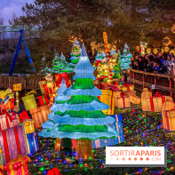 Noël au Parc Astérix 2023, sentier de lumières et patinoire - IMG 5066