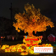 Festival Dragons et Lanternes - Jardin d'Acclimatation - image00037