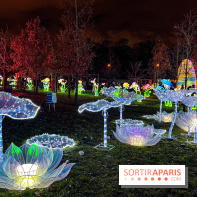 Festival Dragons et Lanternes - Jardin d'Acclimatation - image00043