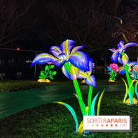 Festival Dragons et Lanternes - Jardin d'Acclimatation