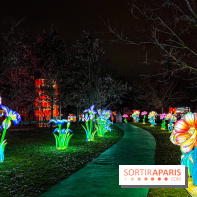 Festival Dragons et Lanternes - Jardin d'Acclimatation - image00102