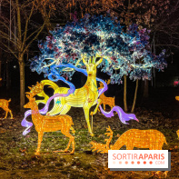 Festival Dragons et Lanternes - Jardin d'Acclimatation - image00124