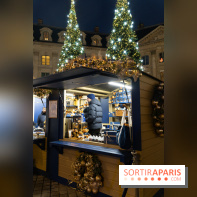 Le chalet de Noël du Ritz et son carrousel gratuit -  A7C0399