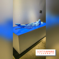 Expo The Art of The Brick Galerie Montparnasse - IMG 3028