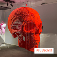 Expo The Art of The Brick Galerie Montparnasse - IMG 3039