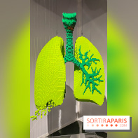 Expo The Art of The Brick Galerie Montparnasse - IMG 3040