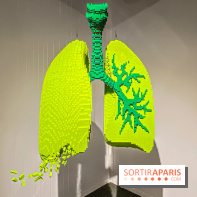 Expo The Art of The Brick Galerie Montparnasse