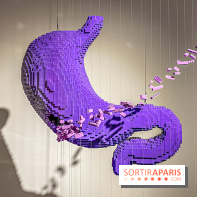Expo The Art of The Brick Galerie Montparnasse