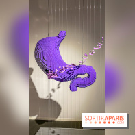 Expo The Art of The Brick Galerie Montparnasse