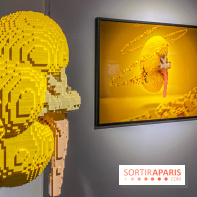 Expo The Art of The Brick Galerie Montparnasse - IMG 3063