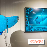 Expo The Art of The Brick Galerie Montparnasse - IMG 3065