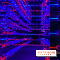 Expo The Art of The Brick Galerie Montparnasse - IMG 3102