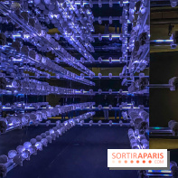 Expo The Art of The Brick Galerie Montparnasse - IMG 3106