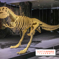 Expo The Art of The Brick Galerie Montparnasse - IMG 3110