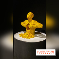 Expo The Art of The Brick Galerie Montparnasse - IMG 3120