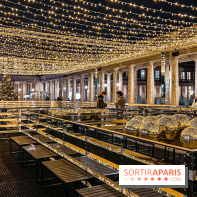 La Patinoire AMI Paris au Palais Royal