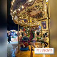 Bel Hiver 2023 à Saint-Denis - nos photos - image00030