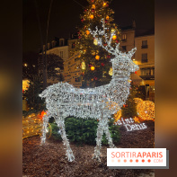 Bel Hiver 2023 à Saint-Denis - nos photos - image00020