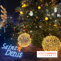 Bel Hiver 2023 à Saint-Denis - nos photos - image00026