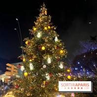 Bel Hiver 2023 à Saint-Denis - nos photos - image00027