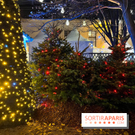 Bel Hiver 2023 à Saint-Denis - nos photos - image00013