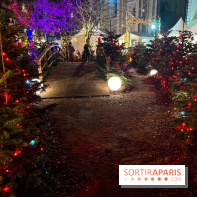 Bel Hiver 2023 à Saint-Denis - nos photos
