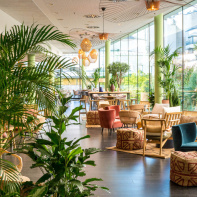 Le bar & restaurant Solis vous propose un voyage en Méditerranée à quelques pas de l’Arc de Triomphe