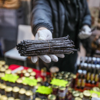 DIMANCHES PLAISIRS : des activités pour toute la famille ! - BV 20231203132056BV1 6316