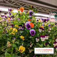 La Caverne, ferme urbaine bio à Paris, nos photos - 20240122 144934